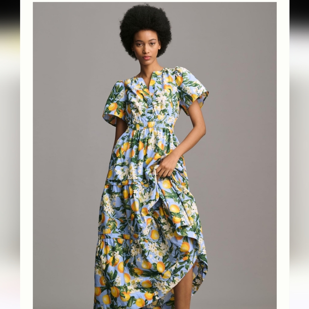Anthropologie Somerset dress Iris Blue *modified sleeves*